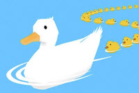 Ducklings.io img