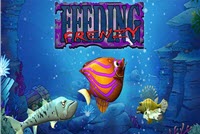 Feeding Frenzy img