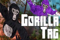 gorillatag img