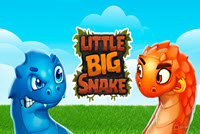 Little Big Snake (.IO) img