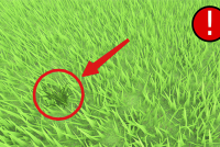 Obby: Be Grass img