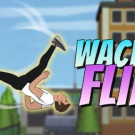 Wacky Flip